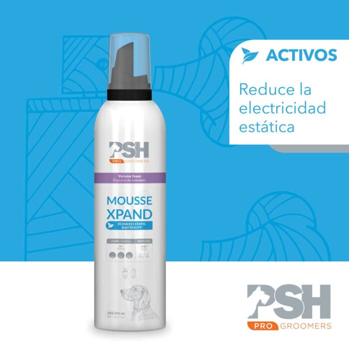MOUSSE XPAND FOAM PSH 300ML - Slika 2