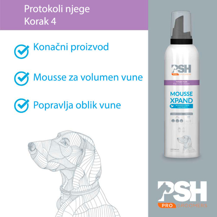 MOUSSE XPAND FOAM PSH 300ML - Slika 3